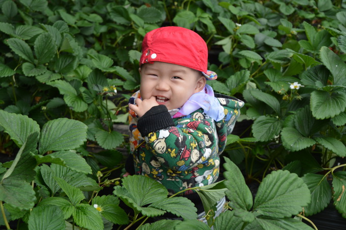 微信图片_20180420133030_调整大小.jpg