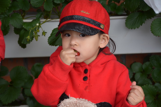 微信图片_20180420133027_调整大小.jpg